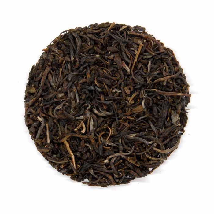 Midnight Jasmine