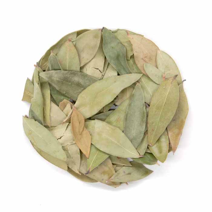 Lemon Myrtle Leaf
