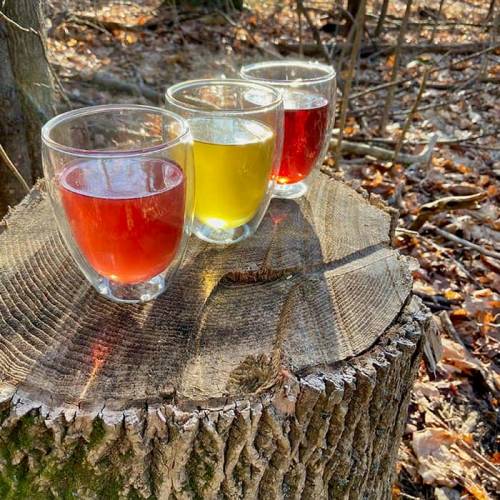 Choose colourful teas for wellness