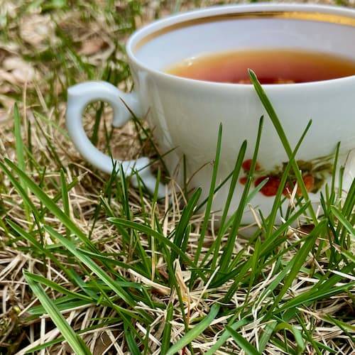 Teas for allergy relief