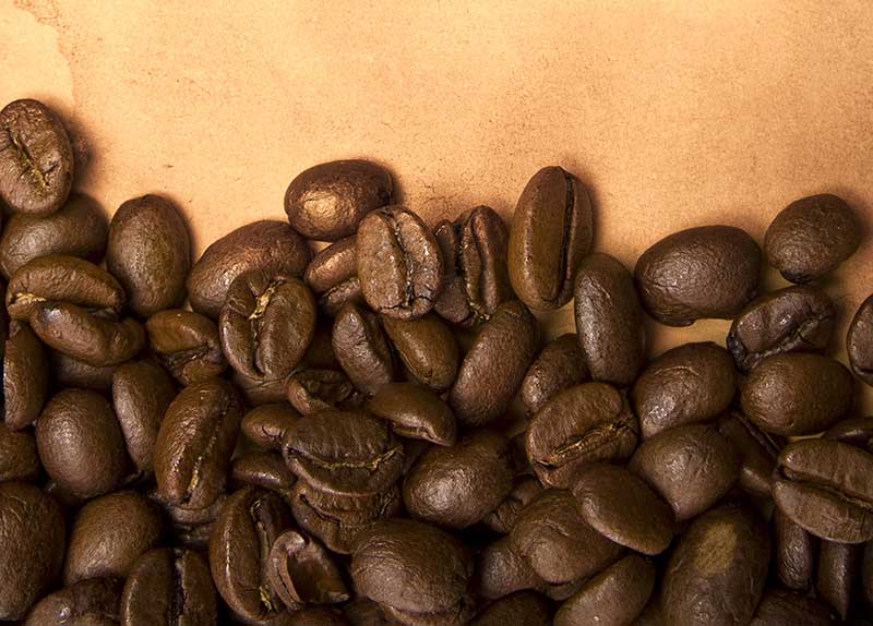 Tea Legends: Caramel’s Missing Myth