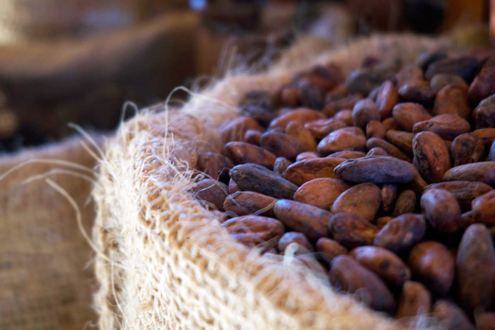 Health: The Mighty Cacao Bean