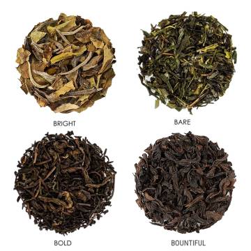 A Kombucha Brewer’s Sampler