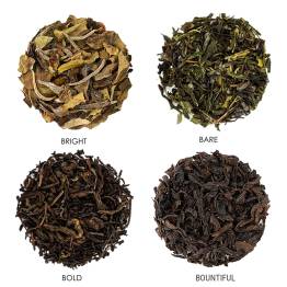 A Kombucha Brewer’s Sampler