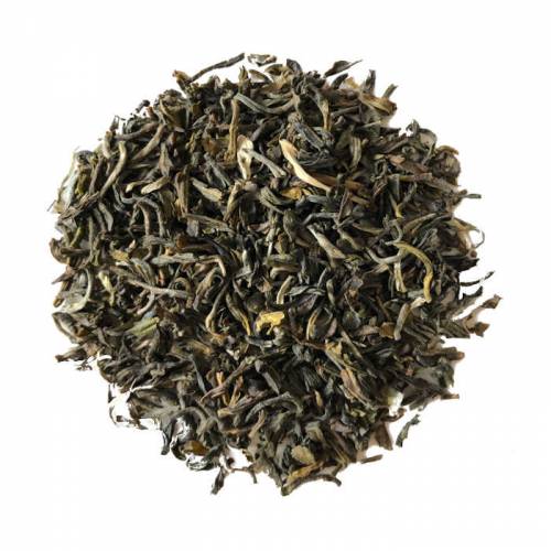 Midnight Jasmine Premium