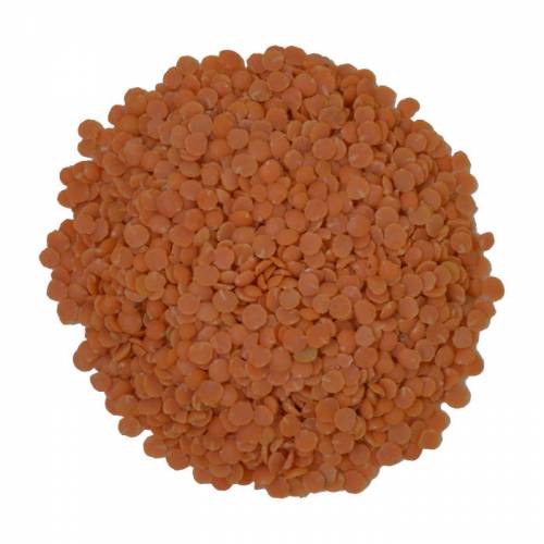 Red Lentils