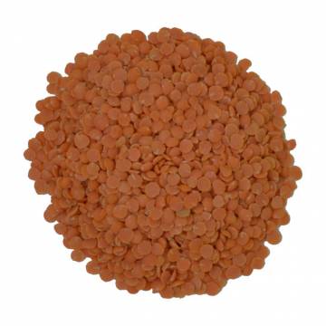 Red Lentils