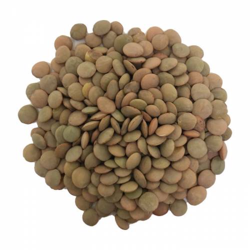 Green Lentils