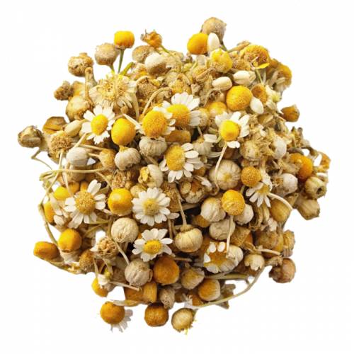 Chamomile Blossoms