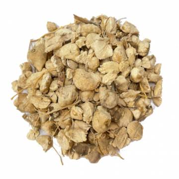 Wild Yam Root