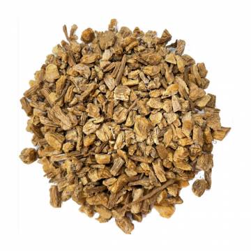 Dong Quai Root