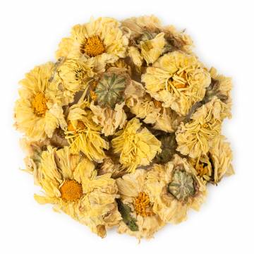 Chrysanthemum Blossoms