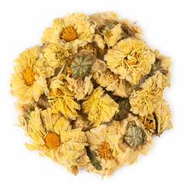 Chrysanthemum Blossoms