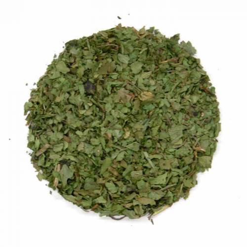 Cilantro Leaf
