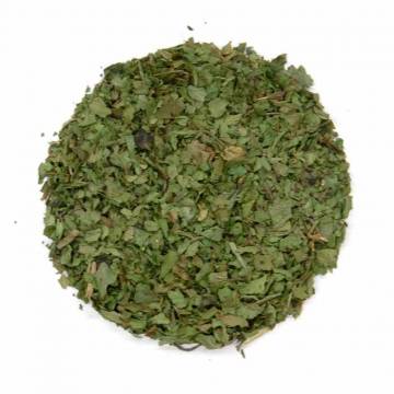 Cilantro Leaf
