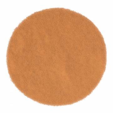 Cinnamon Powder