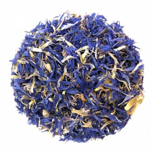 Cornflowers (Blue)